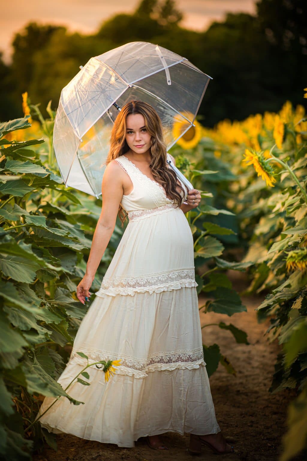 Expecting mother with a clear umbrella in a sunflower field at golden hour
